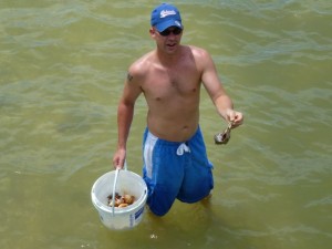 willim with whelk willim with whelk