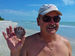 Bob find lions paw seashells Sanibel Bob find lions paw seashells Sanibel