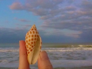 My first junonia aperture My first junonia aperture