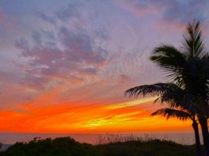 captiva island sunset captiva island sunset