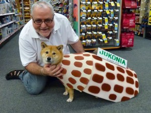 kona junonia dog costume