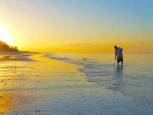 man shelling at sunrise