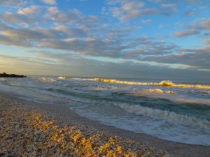 morning sky with seashells morning sky with seashells