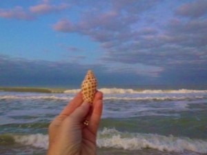 my junonia with waves my junonia with waves