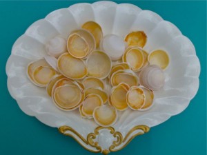 Buttercup seashells on platter