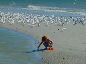 boy digging seashells