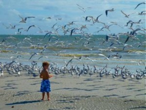 child on sanibel beach with birds