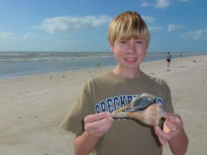 live lightning whelk max live lightning whelk max