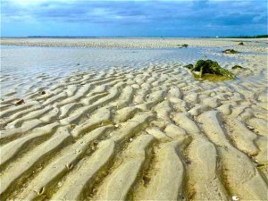 low tide bunche beach fort myers florida