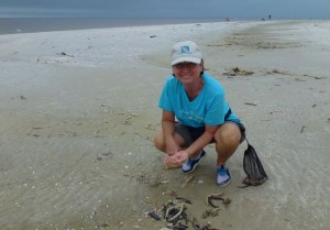 mary ann ross collecting miniature shells