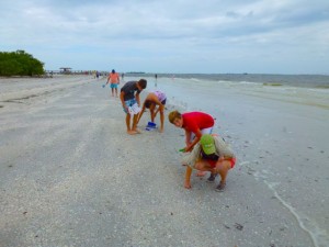 miniature shelling sanibel florida