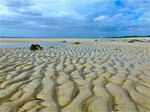 sand sculpture bunche beach