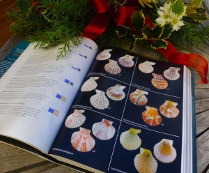 Book by Mikkelsen Bieler Book by Mikkelsen Bieler