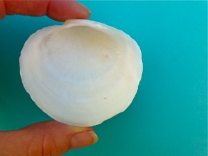 Chalky Buttercup Lucine interior Chalky Buttercup Lucine interior