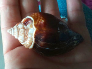 Donnie Benton freak conch Donnie Benton freak conch