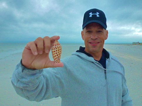 brown speckled junonia