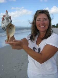 Gail 12 inch horse conch sanibel Gail 12 inch horse conch sanibel