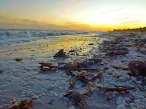 Sanibel Beach Bling at sunset Sanibel Beach Bling at sunset