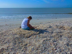 Shell finding seashells Shell finding seashells