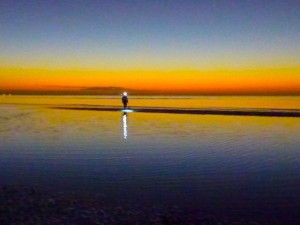 collecting seashells flashlight sanibel collecting seashells flashlight sanibel