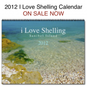2012 Calendar