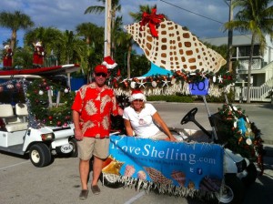 junonia jalopy i love shelling junonia jalopy i love shelling