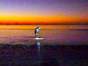 sunrise sheller watercolor sunrise sheller watercolor