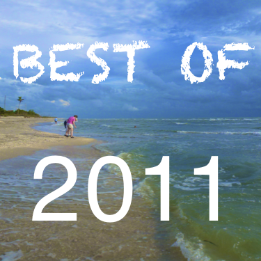 Best-of-2011 beachcombing