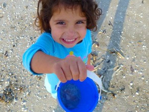 Holly with shell bucket sanibel Holly with shell bucket sanibel