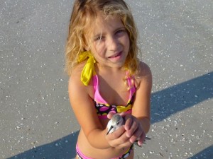 alyssa with andy the sanderling alyssa with andy the sanderling