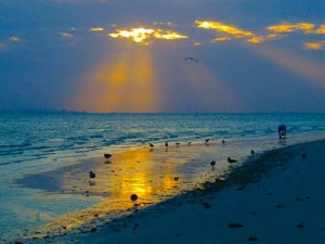 sanibel sunrise reflection