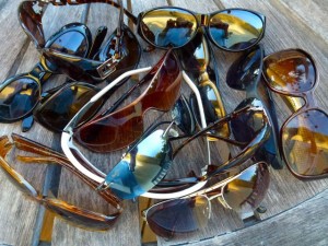 shelling sunglasses shelling sunglasses