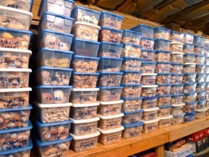 tubs of seashells sanibel tubs of seashells sanibel
