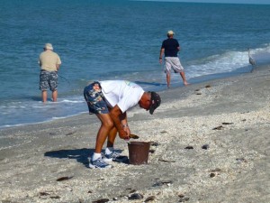 Robert shelling for beach art