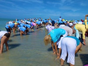 Sanibel stoop record break guinness