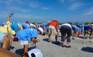 Sanibel stoop stoopers