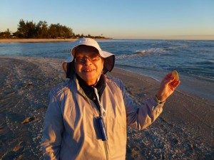 Susan Captiva seashell Susan Captiva seashell