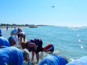 helicopter over Bowmans beach sanibel stoop