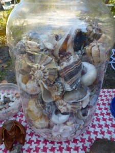 jar of seashells lucienne ron
