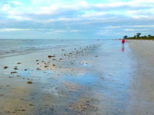 low tide sanibel low tide sanibel