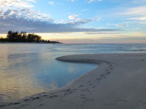 sand bar sunrise captiva sand bar sunrise captiva