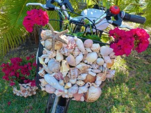 seashell bicycle basket