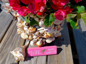seashell planter