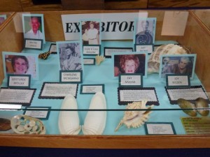 Joffe exhibit shell show 2012 Joffe exhibit shell show 2012