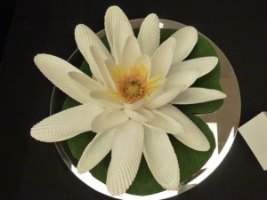 angel wing seashell flower sanibel 2012