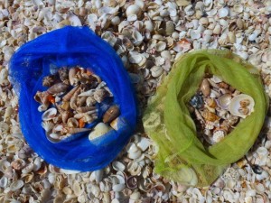 collecting seashells bags collecting seashells bags