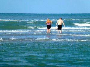 collecting seashells sanibel