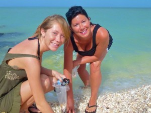 courtney eileen captiva seashells courtney eileen captiva seashells