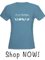 i Love Shelling Shop