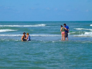 sand bar shells